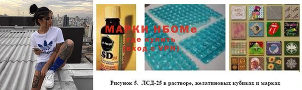 PSILOCYBIN Заводоуковск