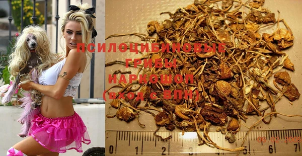 МДПВ Покачи