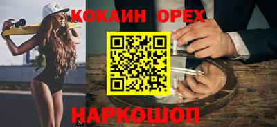 шишки Заводоуковск
