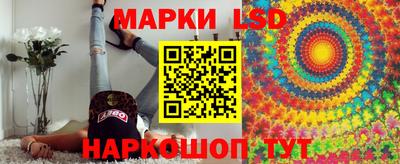шишки Заводоуковск