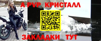 шишки Заводоуковск