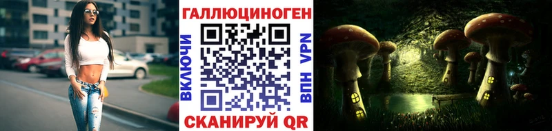 маркетплейс какой сайт  Славгород  Псилоцибиновые грибы мухоморы 