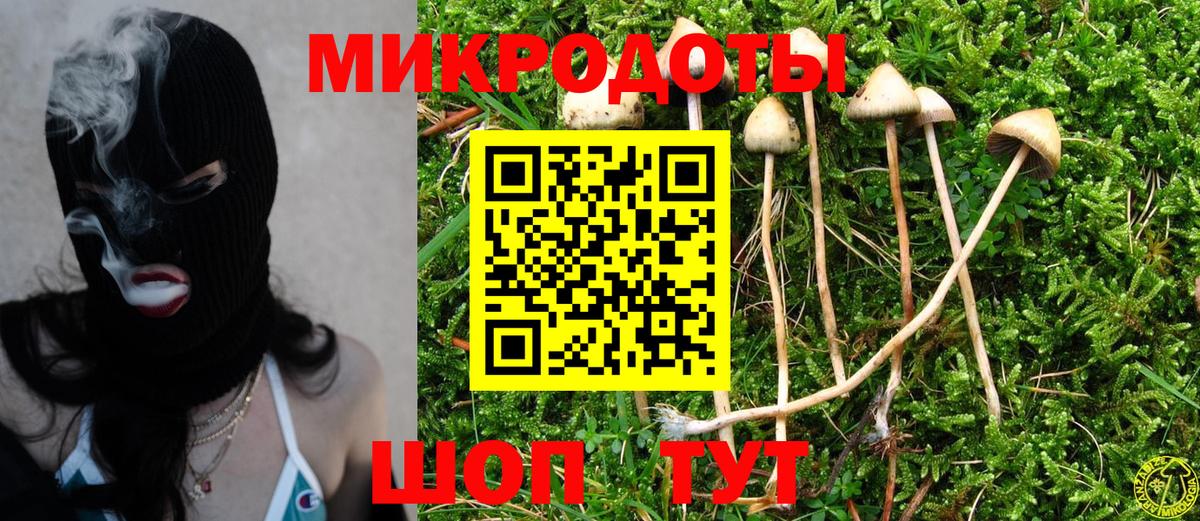 Галлюциногенные грибы Psilocybine cubensis Славгород