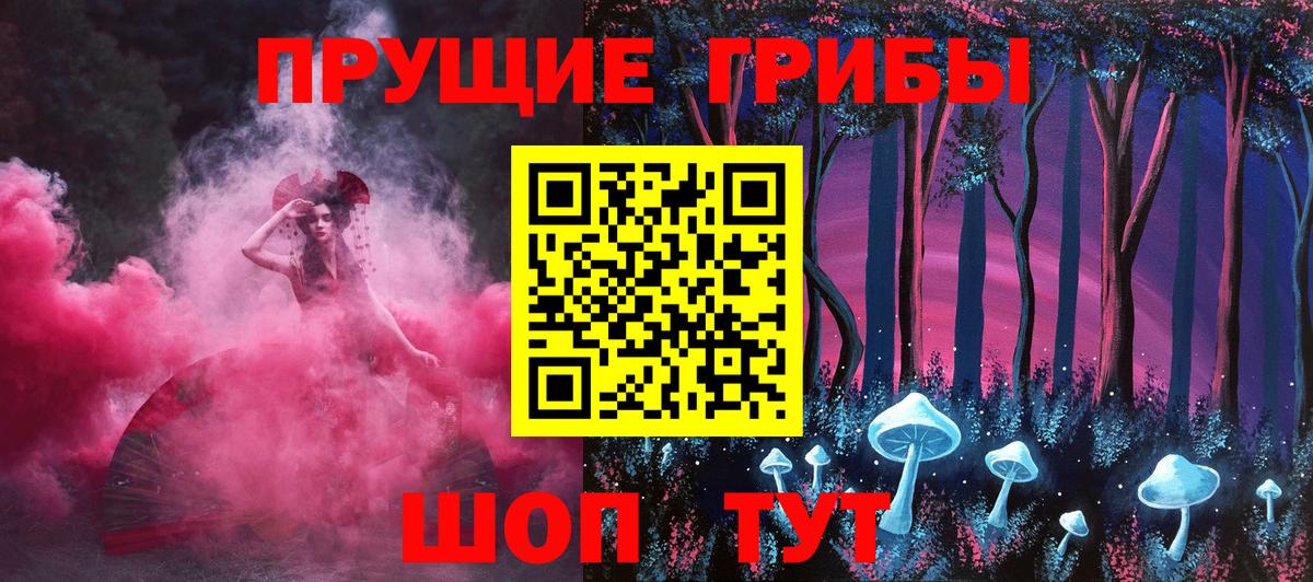 Псилоцибиновые грибы Psilocybe  Вход с VPN  Славгород 