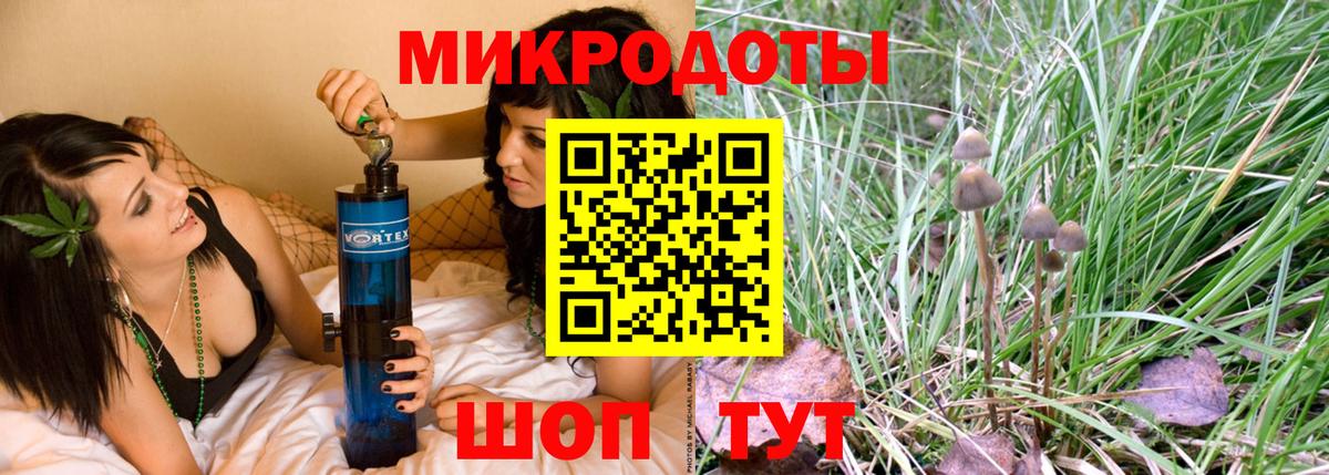 наркотики  Славгород  Галлюциногенные грибы Cubensis 