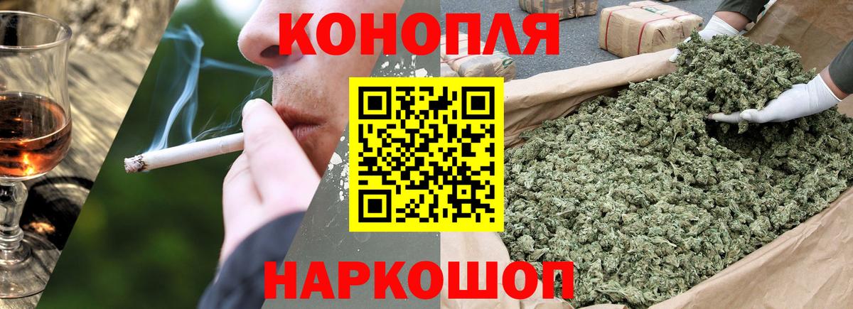 Бошки Шишки семена Славгород
